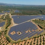 Naturgy entrega más de 1.100 litros de aceite de oliva a ocho entidades sociales de la provincia de Jaén