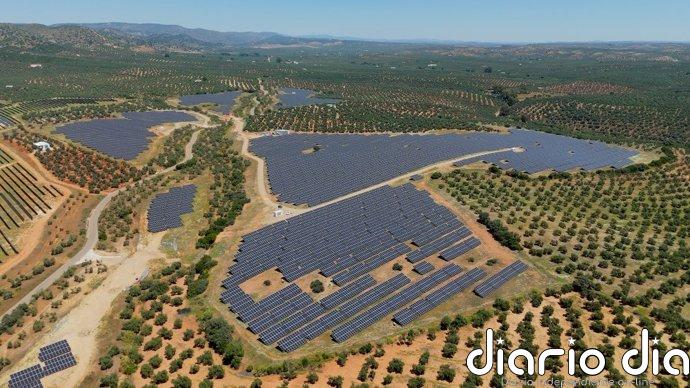 Naturgy entrega más de 1.100 litros de aceite de oliva a ocho entidades sociales de la provincia de Jaén
