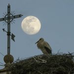 Nueva edición del Concurso fotográfico de Turismo de naturaleza 'Ciudad de Calahorra'