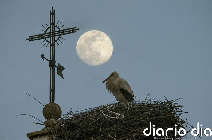 Nueva edición del Concurso fotográfico de Turismo de naturaleza 'Ciudad de Calahorra'