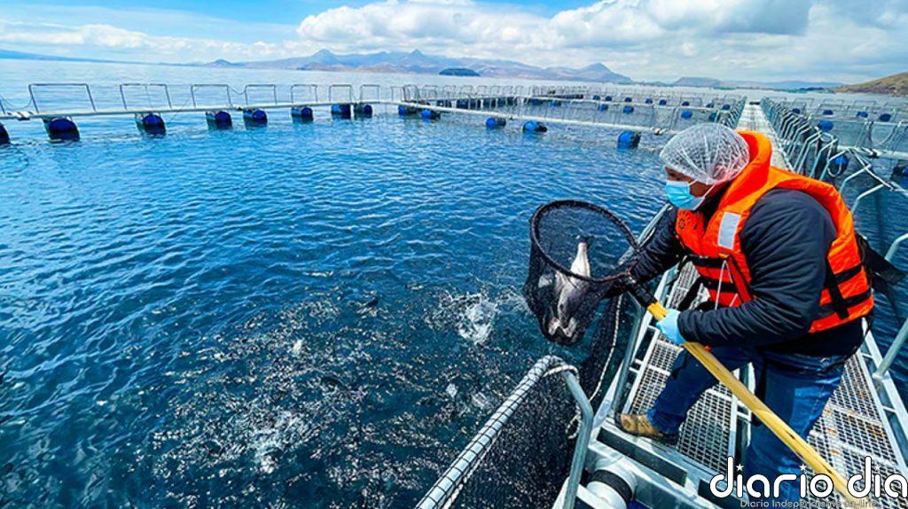 Nuevo récord en la producción pesquera en el mundo