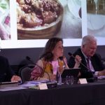Osborne eleva sus ventas a 252,5 millones en 2025 y reduce un 19,9% su beneficio hasta 12,9 millones