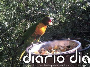 Parque Tricao, ejemplar reserva natural y de avifauna en costa central de Chile