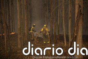 Protección Civil alerta por calor desde el domingo en Península y Baleares y pide precaución por el peligro de incendios