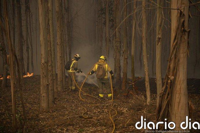Protección Civil alerta por calor desde el domingo en Península y Baleares y pide precaución por el peligro de incendios