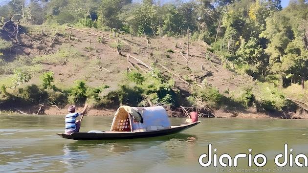 Proyecto ambiental genera esperanzas en comunidad indígena ribereña de la India