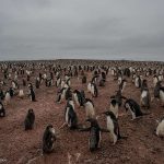 Se agota el margen para limitar el calentamiento global