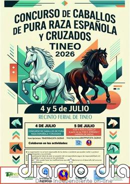 Tineo acoge el 4 y 5 de julio el Concurso Morfológico de Caballos de Pura Raza Española y Cruzados