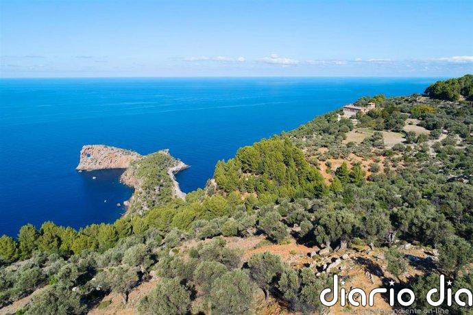 Un centenar de jóvenes de Mallorca participarán en un programa de excursiones y actividades en la Serra de Tramuntana