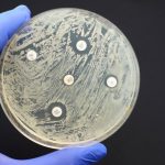 Un consenso internacional sienta las bases para aplicar la secuenciación genómica en la elección de antibióticos