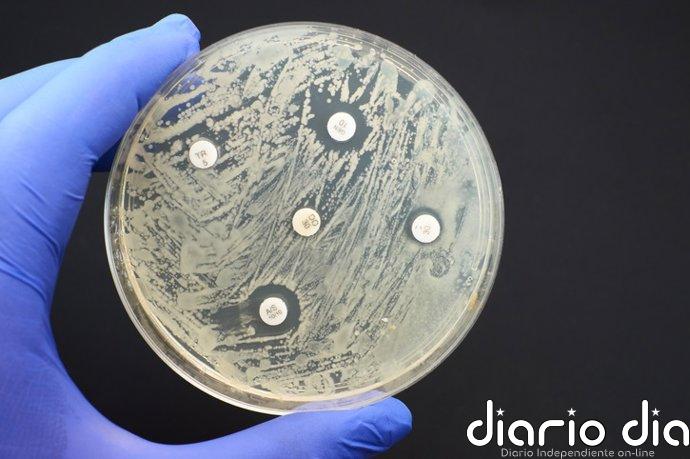 Un consenso internacional sienta las bases para aplicar la secuenciación genómica en la elección de antibióticos