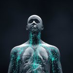 Un estudio desmonta una teoría clave sobre cómo el cuerpo fabrica sus mejores anticuerpos