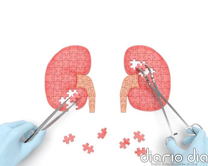 Un nuevo escáner PET podría detectar cáncer de riñón que otras pruebas no ven