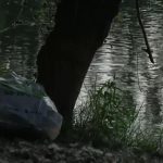 Un pescador salvó la vida del niño de 5 años que cayó a una presa en Baños de Cerrato (Palencia)