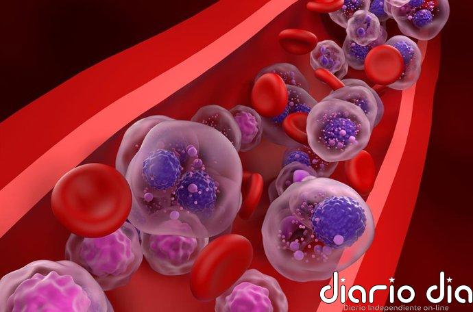 Una inmunoterapia sin quimioterapia frena el mieloma múltiple en casi el 70% de los pacientes durante 18 meses