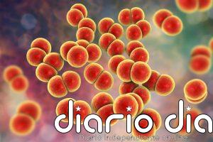 Una inteligencia artificial descubre dos posibles armas contra la gonorrea resistente a los antibióticos