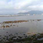 Viento del norte y descenso acusado de las temperaturas, este domingo en Euskadi