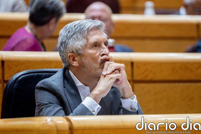 Vox pide la comparecencia en el Senado de Marlaska, la directora de la Guardia Civil y el DAO de la Policía