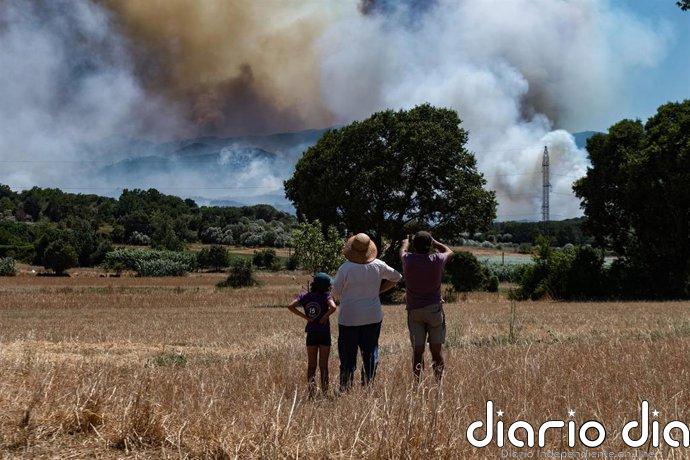 184 bomberos y 40 dotaciones continúan trabajando en el incendio de la Bisbal (Girona)