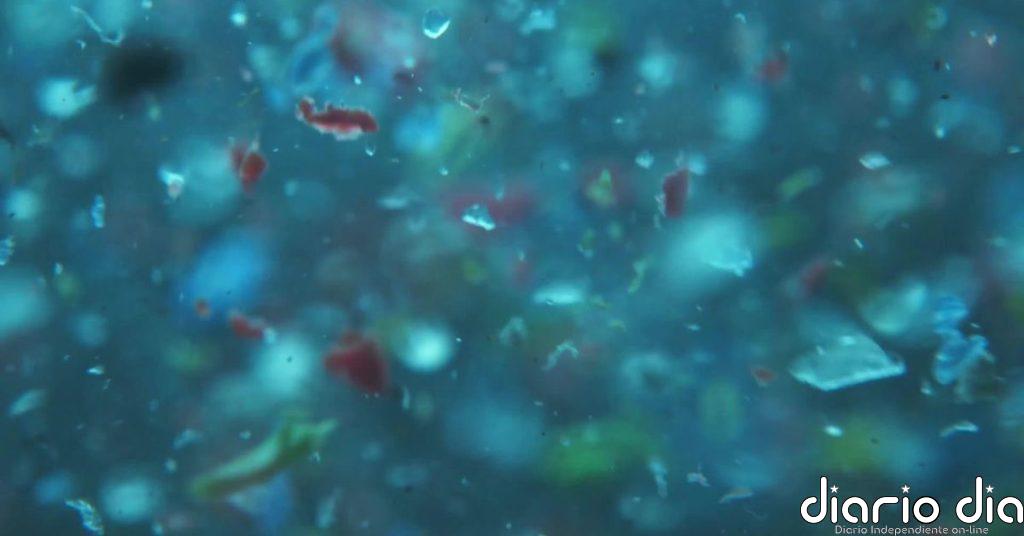 A la caza de microplásticos en el agua