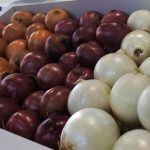 Abierto el plazo de solicitud de ayudas a canales cortos de comercialización y mercados locales de productos agrícolas