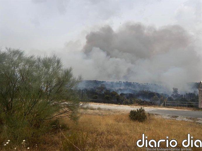 Activado nivel 2 del plan INFOMA por un incendio en Lozoyuela (Madrid) que obliga a desalojos preventivos