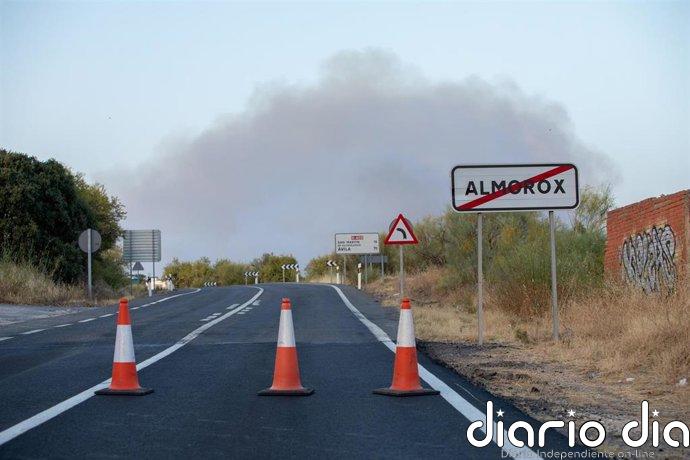 Afectadas las líneas de autobús 541, 545, 546, 547 y 548 por el incendio en Villa del Prado, que ha cortado la M-507