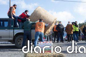 Agricultura modificará los contratos del sector lácteo para evitar márgenes bajos que pongan en peligro su viabilidad