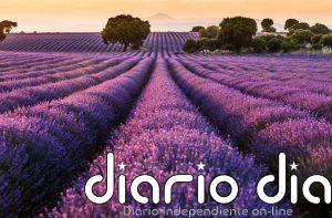 Agricultura reconoce a la Organización Interprofesional de las Plantas Aromáticas y Medicinales