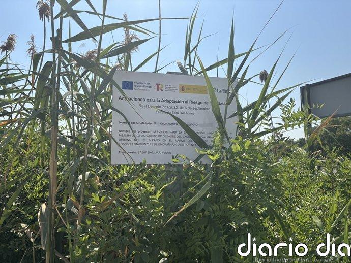 Amigos de la Tierra La Rioja critica que la eliminación de la caña invasora en el río Alhama "ha sido un fracaso"