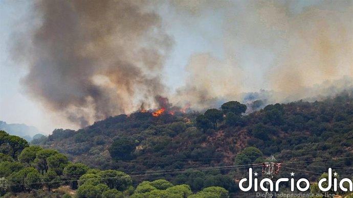 AMP.- Los incendios forestales han quemado más de 131.000 hectáreas en lo que va de año
