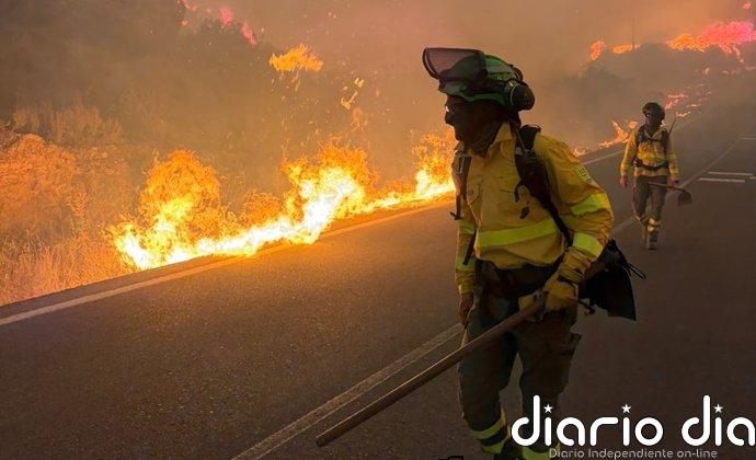 AMP2.- Aumentan a doce los fallecidos en el incendio forestal de Los Gallardos (Almería)