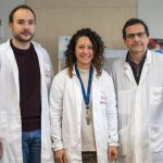 Analizan cómo alteraciones moleculares asociadas a distrofia miotónica tipo 1 afectan a la comunicación entre neuronas