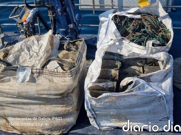Andalucía propone incrementar en un mes la veda del pulpo en el mediterráneo andaluz para "garantizar la conservación"