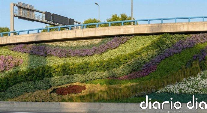 Arranca la instalación de jardines verticales en Ventas, los segundos de la M-30, listos a primeros de año