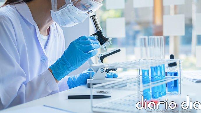 Asturias recibirá 96.000 euros para financiar 48 becas de colaboración universitaria en el curso 2026-2027