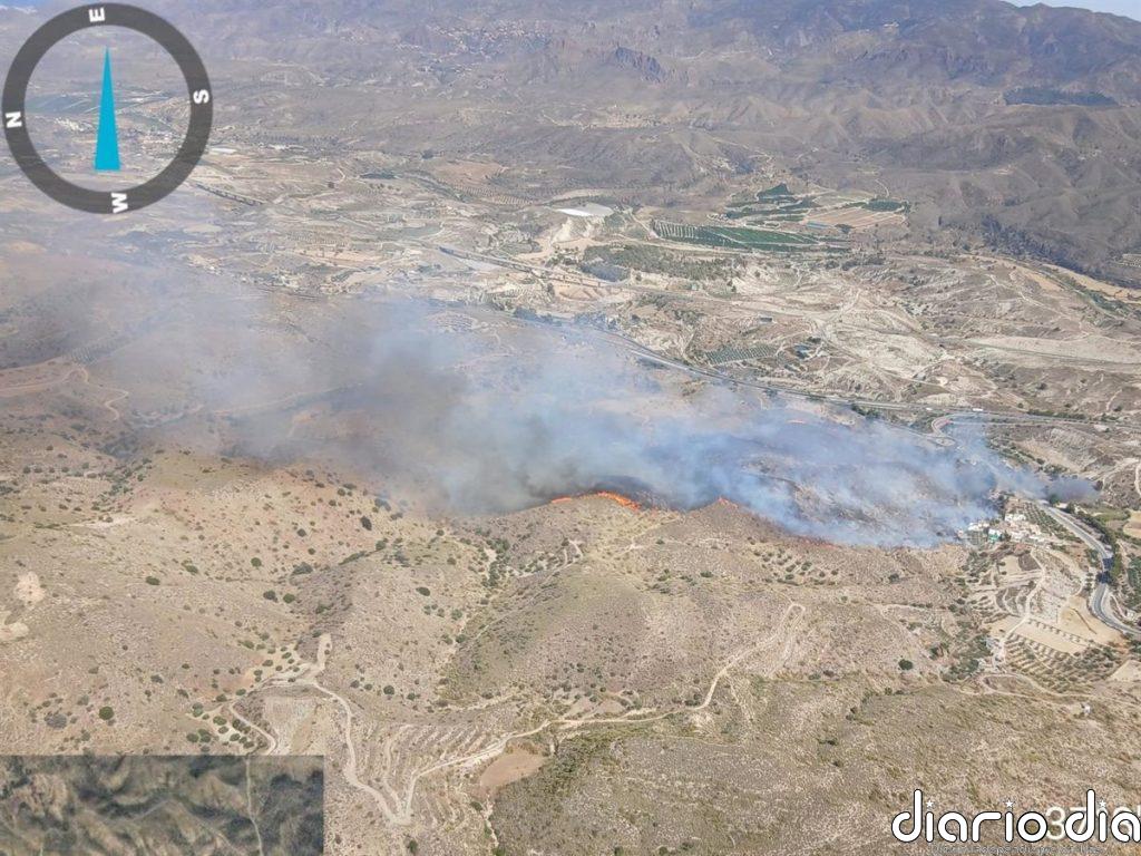 Aumentan a doce los fallecidos en el incendio forestal de Los Gallardos (Almería)