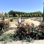 Ayuntamiento de Valladolid adjudicará el martes la remodelación "integral" de La Rosaleda, que se replantará en octubre