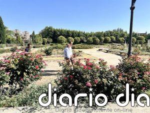 Ayuntamiento de Valladolid adjudicará el martes la remodelación "integral" de La Rosaleda, que se replantará en octubre