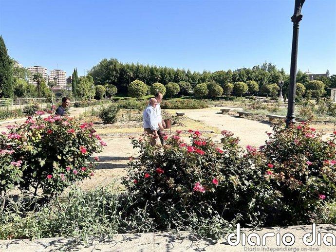 Ayuntamiento de Valladolid adjudicará el martes la remodelación "integral" de La Rosaleda, que se replantará en octubre