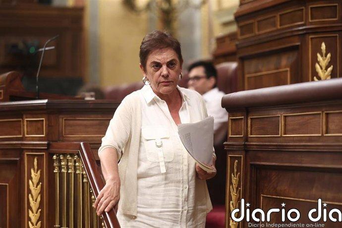 Bildu pide aplicar la amnistía a los "represaliados" y avanzar en las "soluciones políticas", tras el fallo del TJUE