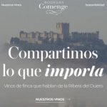 Bodegas Comenge renueva su identidad digital y visual para acercarse a los consumidores
