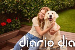 CaixaBank lanza MyBox Mascotas, un seguro para cubrir los gastos de animales domésticos