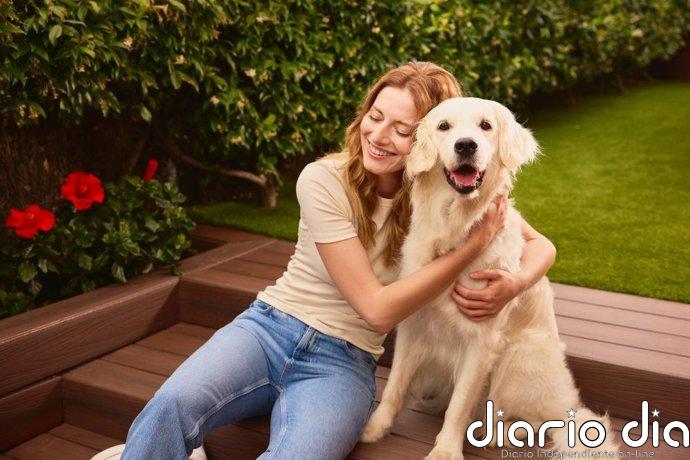 CaixaBank lanza MyBox Mascotas, un seguro para cubrir los gastos de animales domésticos
