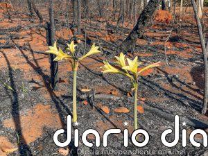 Calor mortal irrumpe en los datos climáticos latinoamericanos