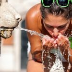 Cantabria registra 49 muertes atribuibles al calor en junio, seis veces más que hace un año