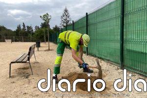 Cartagena suma más de 400 nuevos árboles en el primer semestre del año