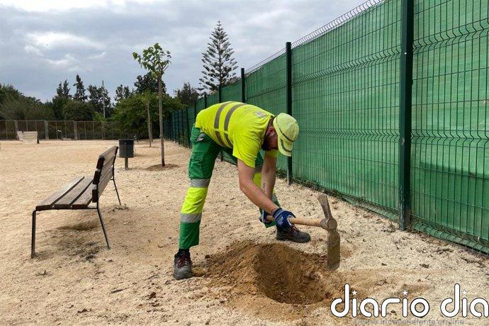 Cartagena suma más de 400 nuevos árboles en el primer semestre del año