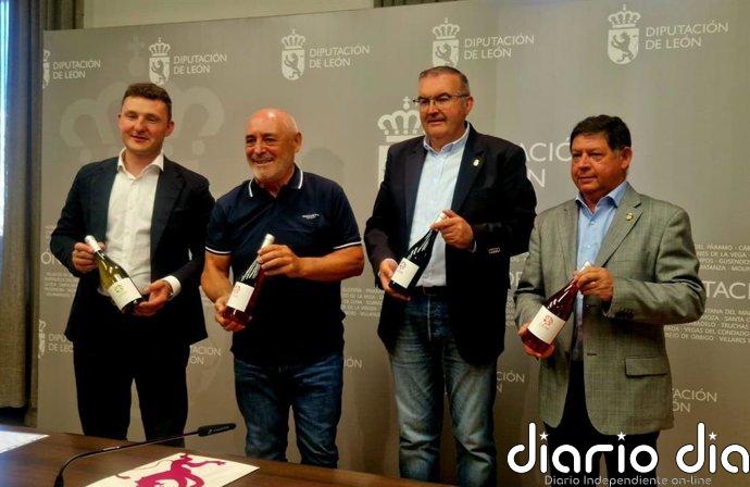 Catorce bodegas exhibirán en la Feria del Vino de Valencia de Don Juan (León) este fin de semana la excelente añada 2025