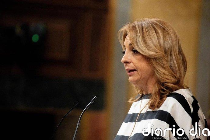 CC pide al GobiernO un balance completo y actualizado de la ayuda a Venezuela un mes después de los terremotos